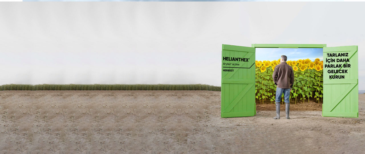 Helianthex banner fnl